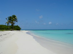 Barbuda beach